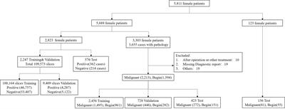 Development and validation of a deep learning model for breast lesion segmentation and characterization in multiparametric MRI